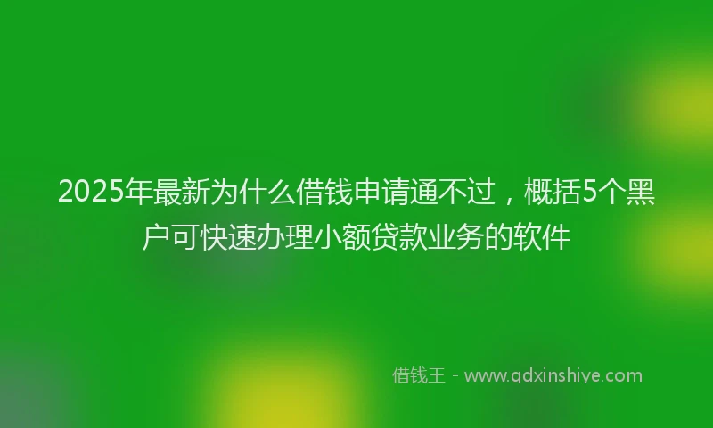2025年最新为什么借钱申请通不过，概括5个黑户可快速办理小额贷款业务的软件