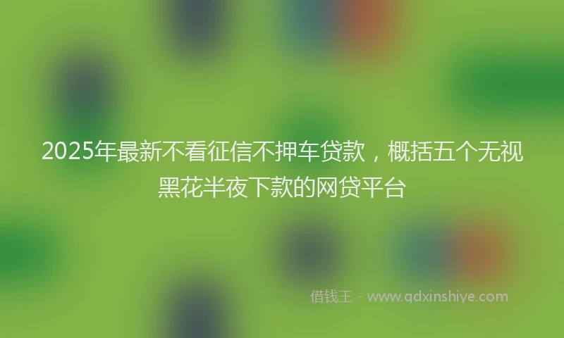 2025年最新不看征信不押车贷款，概括五个无视黑花半夜下款的网贷平台