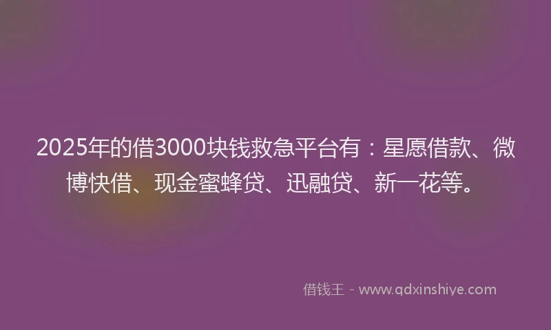 2025年的借3000块钱救急平台有：星愿借款、微博快借、现金蜜蜂贷、迅融贷、新一花等。