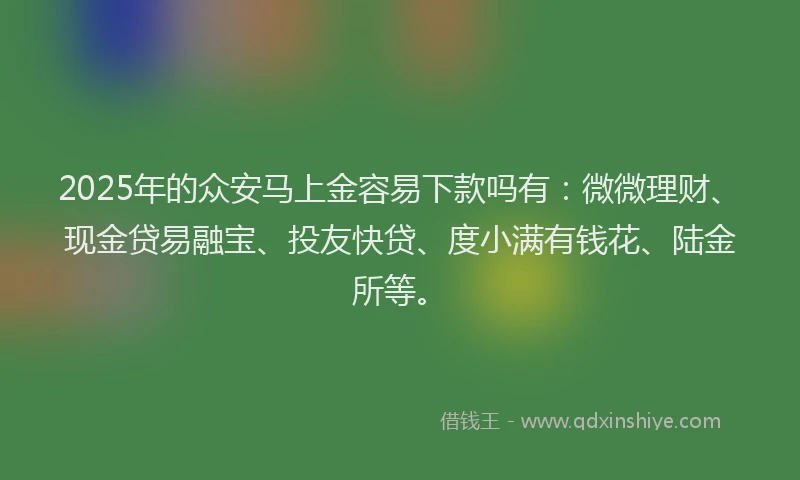 2025年的众安马上金容易下款吗有：微微理财、现金贷易融宝、投友快贷、度小满有钱花、陆金所等。