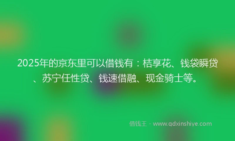 2025年的京东里可以借钱有：桔享花、钱袋瞬贷、苏宁任性贷、钱速借融、现金骑士等。