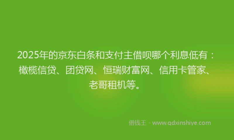 2025年的京东白条和支付主借呗哪个利息低有：橄榄信贷、团贷网、恒瑞财富网、信用卡管家、老哥租机等。