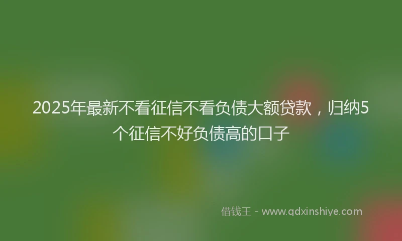 2025年最新不看征信不看负债大额贷款，归纳5个征信不好负债高的口子