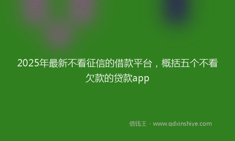 2025年最新不看征信的借款平台，概括五个不看欠款的贷款app