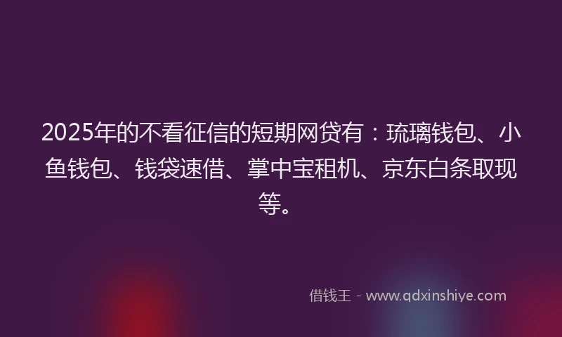 2025年的不看征信的短期网贷有：琉璃钱包、小鱼钱包、钱袋速借、掌中宝租机、京东白条取现等。