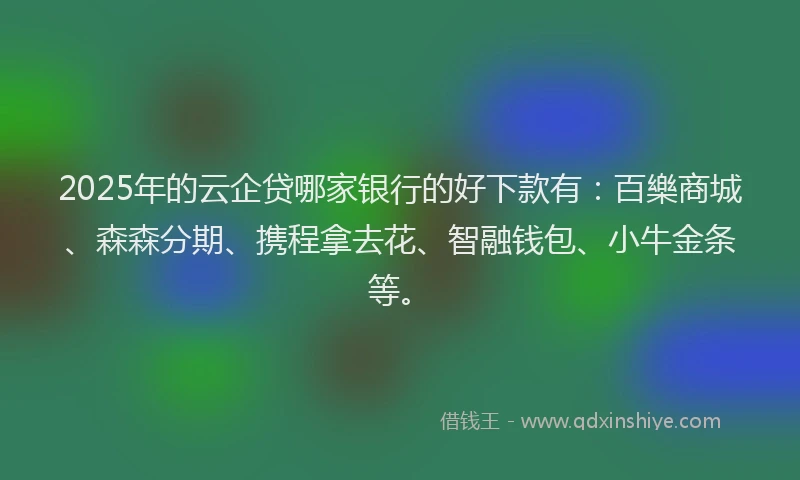 2025年的云企贷哪家银行的好下款有：百樂商城、森森分期、携程拿去花、智融钱包、小牛金条等。