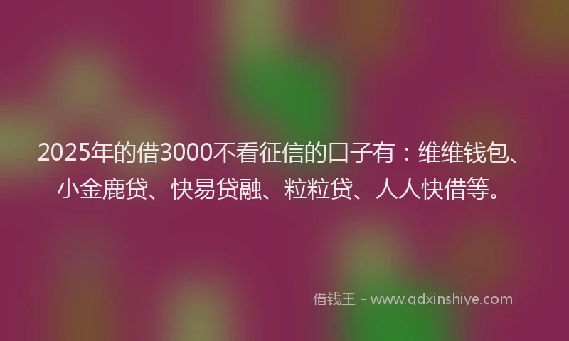 2025年的借3000不看征信的口子有：维维钱包、小金鹿贷、快易贷融、粒粒贷、人人快借等。