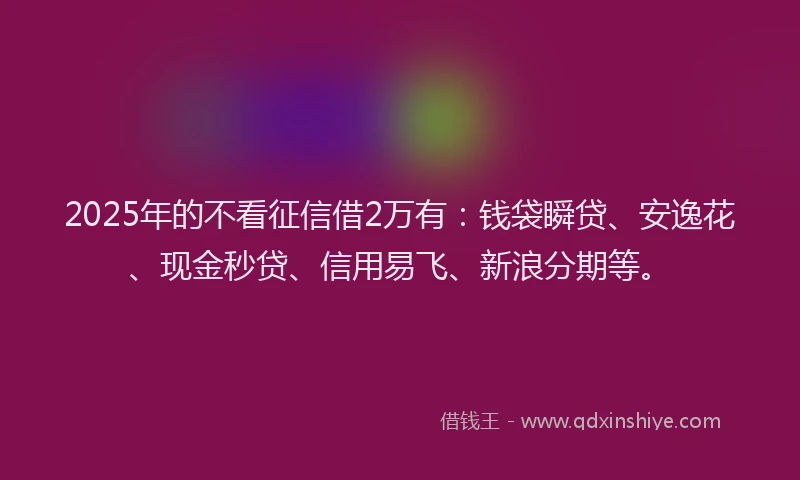 2025年的不看征信借2万有：钱袋瞬贷、安逸花、现金秒贷、信用易飞、新浪分期等。