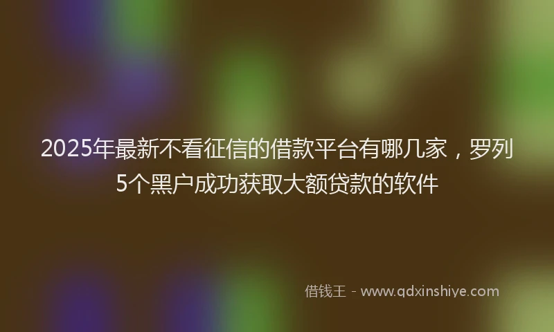 2025年最新不看征信的借款平台有哪几家，罗列5个黑户成功获取大额贷款的软件