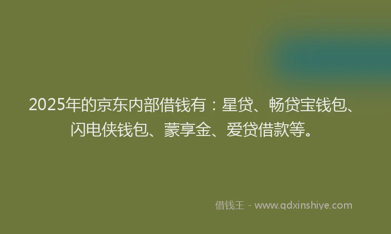 2025年的京东内部借钱有：星贷、畅贷宝钱包、闪电侠钱包、蒙享金、爱贷借款等。