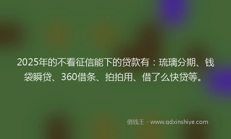 2025年的不看征信能下的贷款有：琉璃分期、钱袋瞬贷、360借条、拍拍用、借了么快贷等。