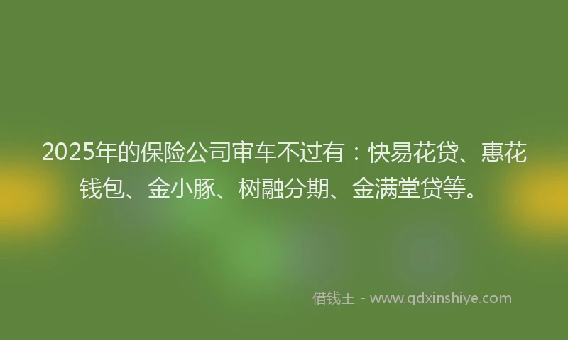 2025年的保险公司审车不过有：快易花贷、惠花钱包、金小豚、树融分期、金满堂贷等。