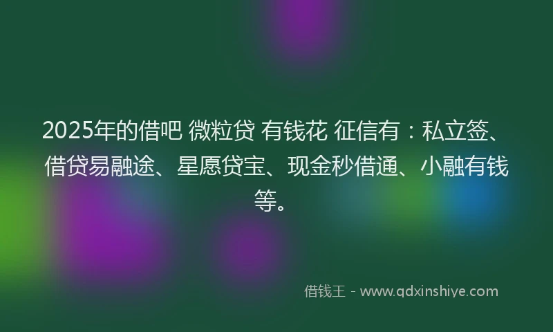 2025年的借吧 微粒贷 有钱花 征信有：私立签、借贷易融途、星愿贷宝、现金秒借通、小融有钱等。