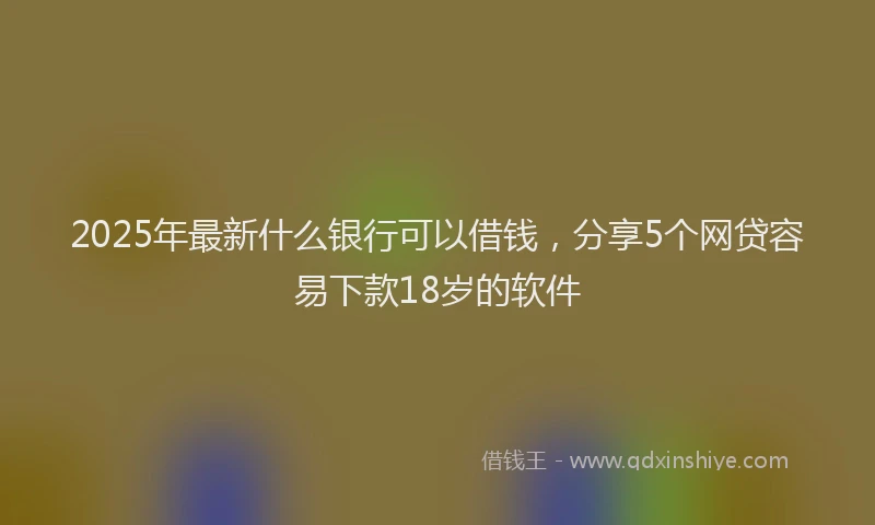 2025年最新什么银行可以借钱，分享5个网贷容易下款18岁的软件