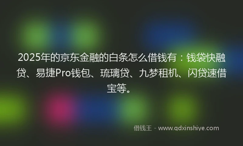 2025年的京东金融的白条怎么借钱有：钱袋快融贷、易捷Pro钱包、琉璃贷、九梦租机、闪贷速借宝等。