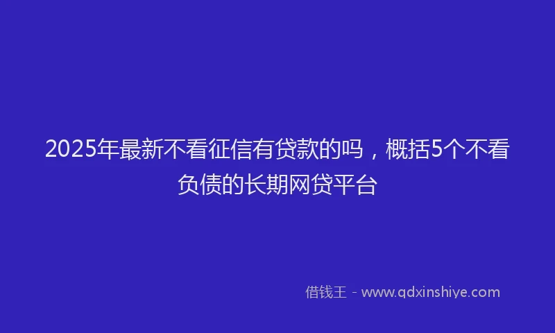 2025年最新不看征信有贷款的吗，概括5个不看负债的长期网贷平台