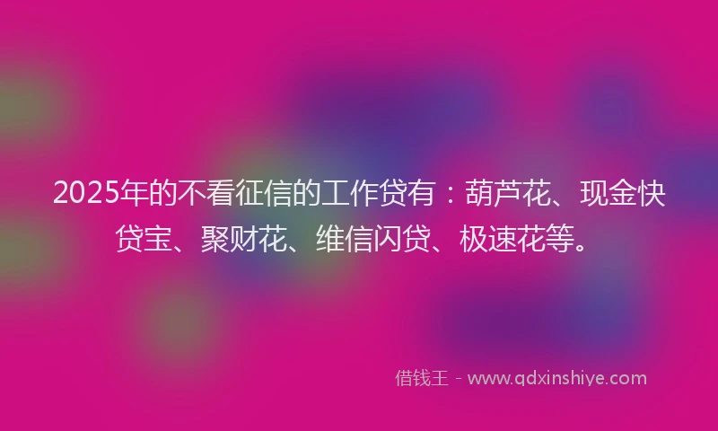 2025年的不看征信的工作贷有：葫芦花、现金快贷宝、聚财花、维信闪贷、极速花等。