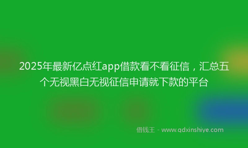 2025年最新亿点红app借款看不看征信，汇总五个无视黑白无视征信申请就下款的平台