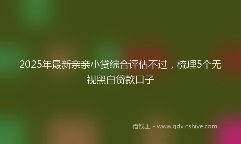 2025年最新亲亲小贷综合评估不过，梳理5个无视黑白贷款口子