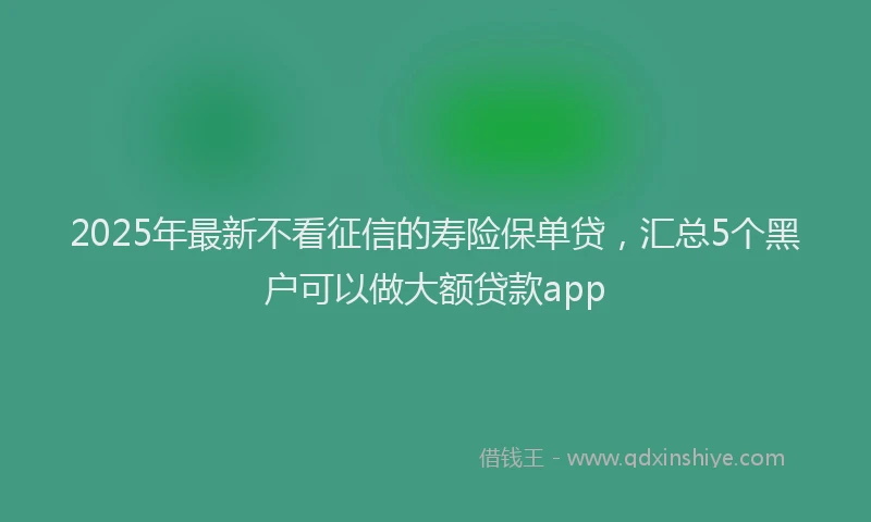 2025年最新不看征信的寿险保单贷，汇总5个黑户可以做大额贷款app
