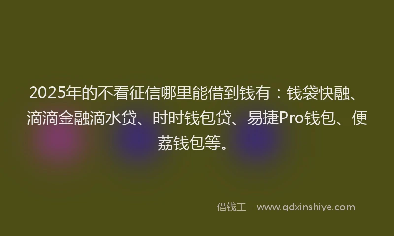 2025年的不看征信哪里能借到钱有：钱袋快融、滴滴金融滴水贷、时时钱包贷、易捷Pro钱包、便荔钱包等。