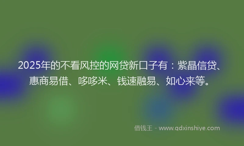 2025年的不看风控的网贷新口子有：紫晶信贷、惠商易借、哆哆米、钱速融易、如心来等。