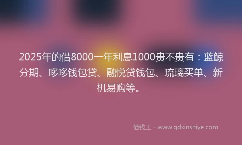 2025年的借8000一年利息1000贵不贵有：蓝鲸分期、哆哆钱包贷、融悦贷钱包、琉璃买单、新机易购等。
