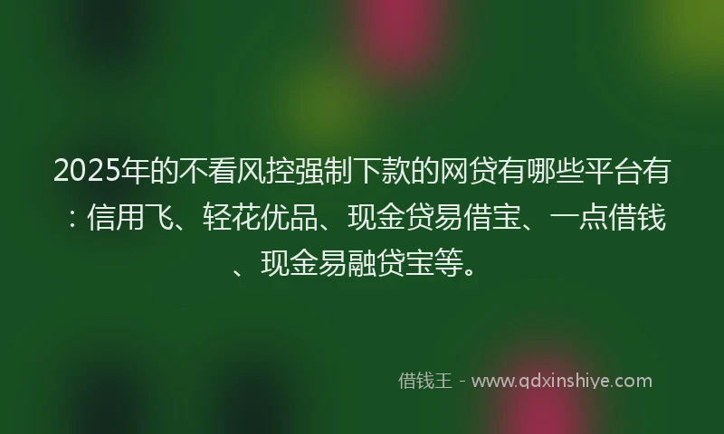 2025年的不看风控强制下款的网贷有哪些平台有：信用飞、轻花优品、现金贷易借宝、一点借钱、现金易融贷宝等。