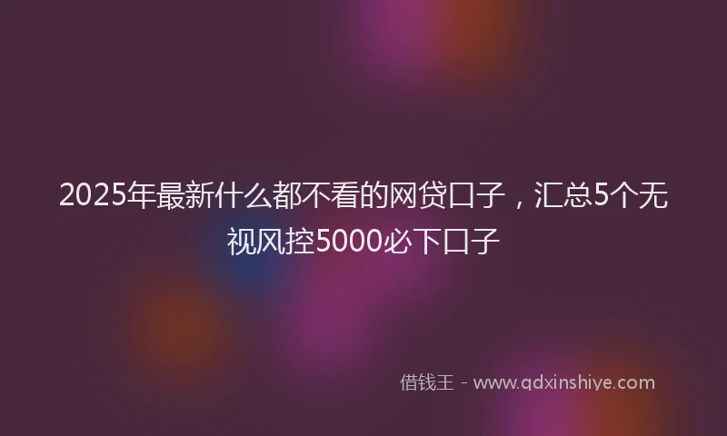 2025年最新什么都不看的网贷口子，汇总5个无视风控5000必下口子