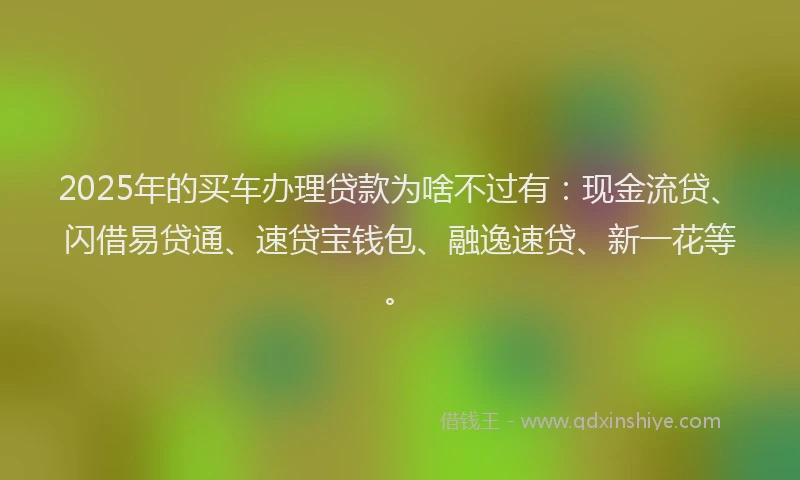2025年的买车办理贷款为啥不过有：现金流贷、闪借易贷通、速贷宝钱包、融逸速贷、新一花等。