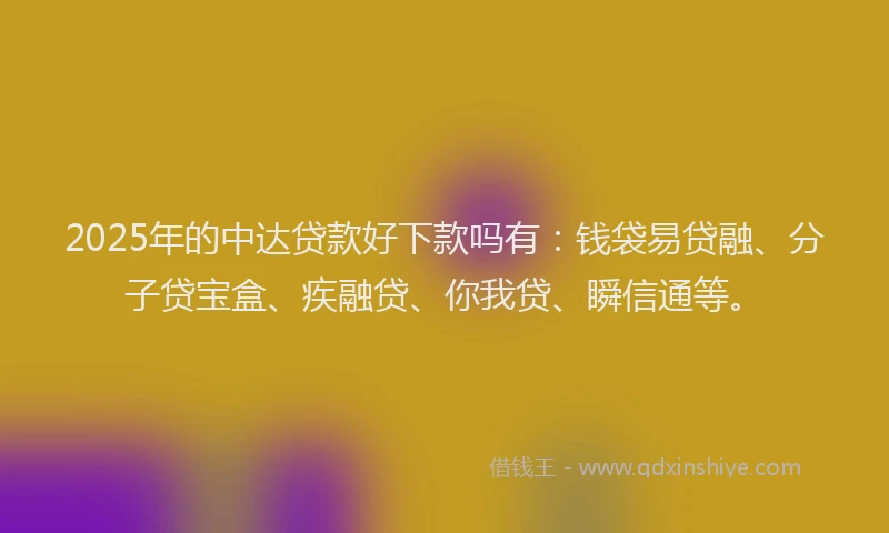 2025年的中达贷款好下款吗有：钱袋易贷融、分子贷宝盒、疾融贷、你我贷、瞬信通等。