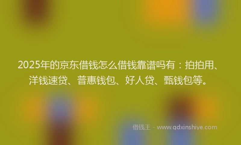 2025年的京东借钱怎么借钱靠谱吗有：拍拍用、洋钱速贷、普惠钱包、好人贷、甄钱包等。