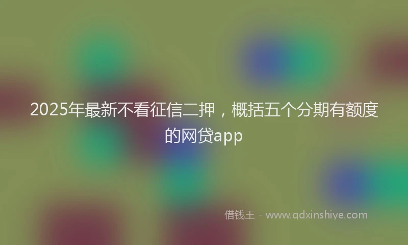 2025年最新不看征信二押，概括五个分期有额度的网贷app