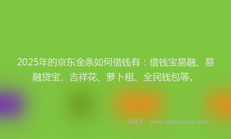 2025年的京东金条如何借钱有：借钱宝易融、易融贷宝、吉祥花、萝卜租、全民钱包等。