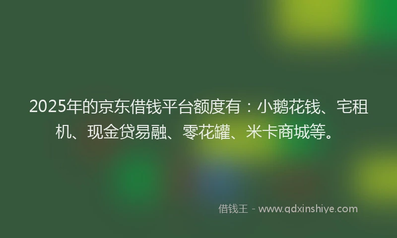 2025年的京东借钱平台额度有：小鹅花钱、宅租机、现金贷易融、零花罐、米卡商城等。