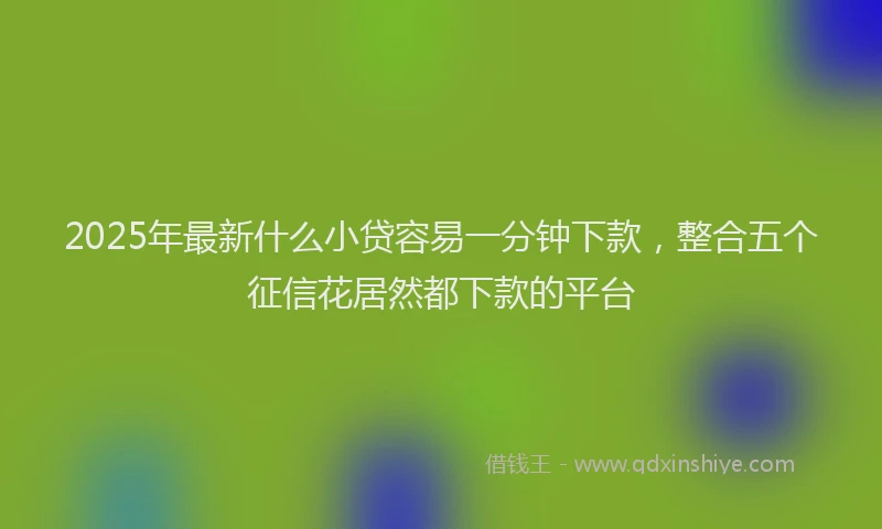 2025年最新什么小贷容易一分钟下款，整合五个征信花居然都下款的平台