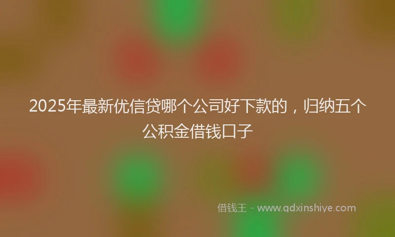 2025年最新优信贷哪个公司好下款的，归纳五个公积金借钱口子