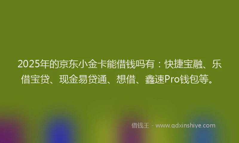 2025年的京东小金卡能借钱吗有：快捷宝融、乐借宝贷、现金易贷通、想借、鑫速Pro钱包等。