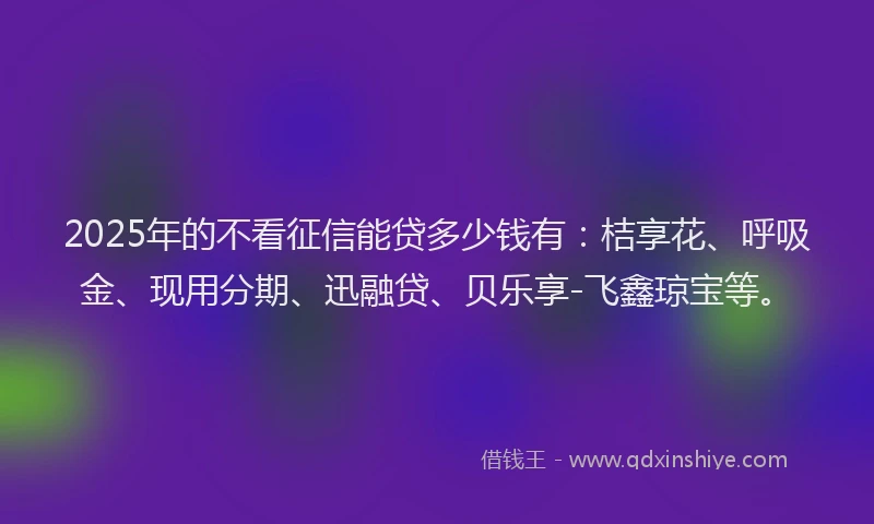 2025年的不看征信能贷多少钱有：桔享花、呼吸金、现用分期、迅融贷、贝乐享-飞鑫琼宝等。
