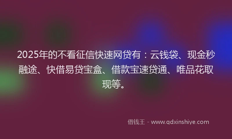 2025年的不看征信快速网贷有：云钱袋、现金秒融途、快借易贷宝盒、借款宝速贷通、唯品花取现等。