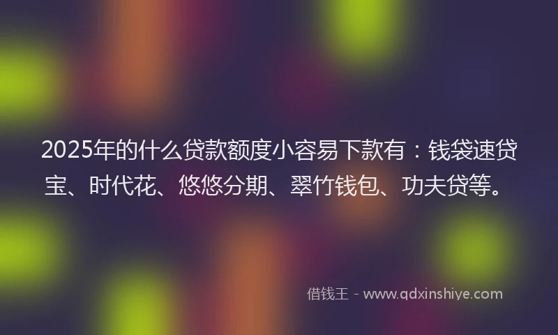2025年的什么贷款额度小容易下款有：钱袋速贷宝、时代花、悠悠分期、翠竹钱包、功夫贷等。