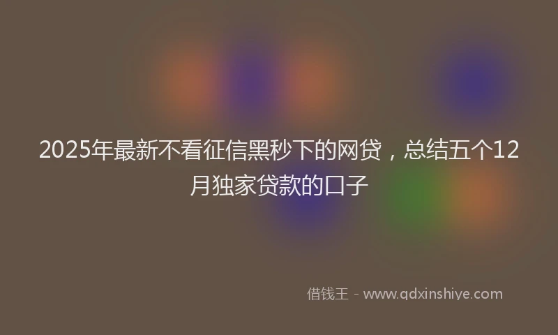 2025年最新不看征信黑秒下的网贷，总结五个12月独家贷款的口子