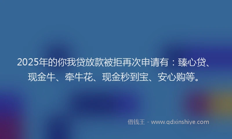 2025年的你我贷放款被拒再次申请有：臻心贷、现金牛、牵牛花、现金秒到宝、安心购等。