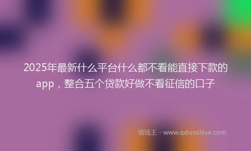 2025年最新什么平台什么都不看能直接下款的app，整合五个贷款好做不看征信的口子