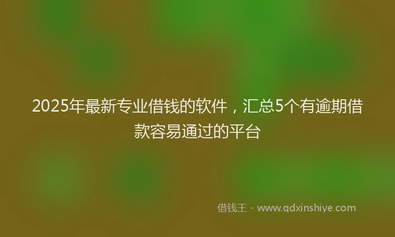 2025年最新专业借钱的软件，汇总5个有逾期借款容易通过的平台