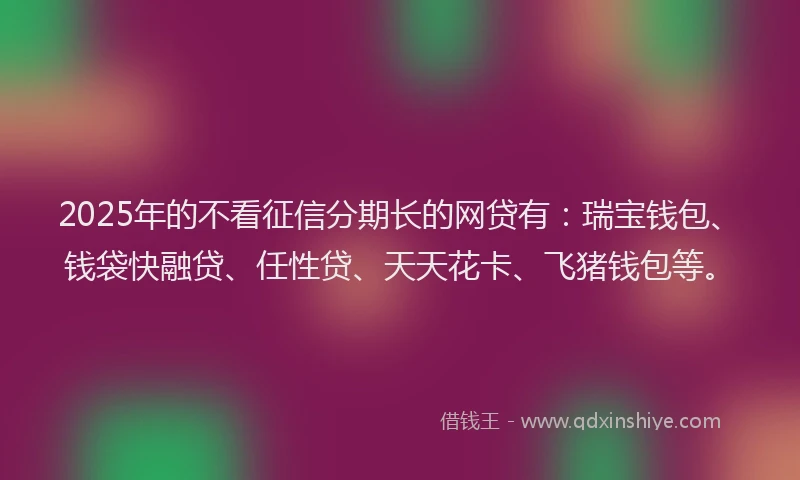 2025年的不看征信分期长的网贷有：瑞宝钱包、钱袋快融贷、任性贷、天天花卡、飞猪钱包等。