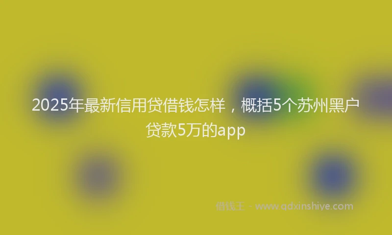 2025年最新信用贷借钱怎样，概括5个苏州黑户贷款5万的app