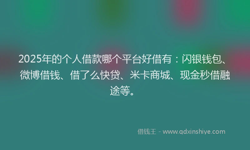2025年的个人借款哪个平台好借有：闪银钱包、微博借钱、借了么快贷、米卡商城、现金秒借融途等。