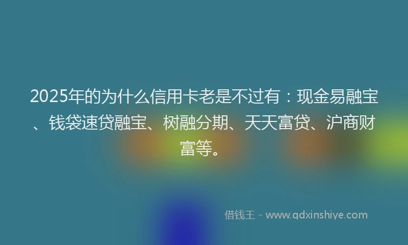 2025年的为什么信用卡老是不过有：现金易融宝、钱袋速贷融宝、树融分期、天天富贷、沪商财富等。