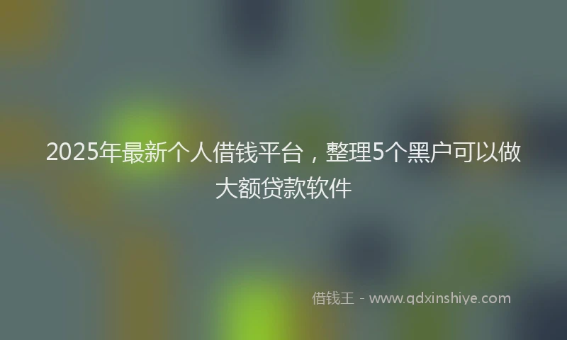 2025年最新个人借钱平台，整理5个黑户可以做大额贷款软件